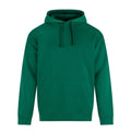 Kelly Green - Front - PRORTX Mens Hoodie