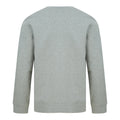 Heather Grey - Lifestyle - Henbury Unisex Adult Sustainable Sweatshirt