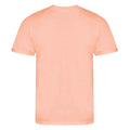 Soft Peach - Back - Awdis Mens Cascade Ecologie Organic T-Shirt
