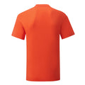 Flame - Back - Fruit of the Loom Mens Iconic 150 T-Shirt