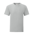 Zinc - Front - Fruit of the Loom Mens Iconic 150 T-Shirt