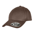 Dark Grey - Front - Yupoong Unisex Adult Flexfit 110 Organic Baseball Cap