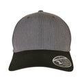 Dark Grey-Black - Back - Flexfit Unisex Adult 110 Contrast Melange Cap