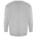 Grey - Back - Ecologie Unisex Adult Crater Recycled Sweatshirt