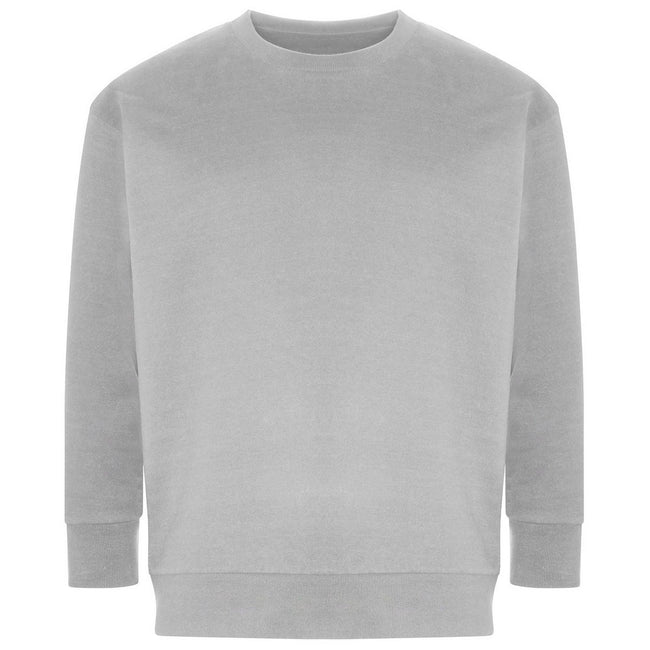 Grey - Front - Ecologie Unisex Adult Crater Recycled Sweatshirt