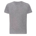 Heather Grey - Back - Awdis Childrens-Kids Just Ts The 100 T-Shirt