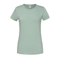 Sage - Front - Fruit of the Loom Womens-Ladies Iconic 195 Premium T-Shirt