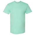 Island Reef - Front - Gildan Hammer T-Shirt