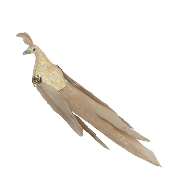 Champagne - Front - Davies Products Feather Peacock Christmas Decoration