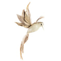 Gold - Front - Premier Sequin Hummingbird Christmas Decoration