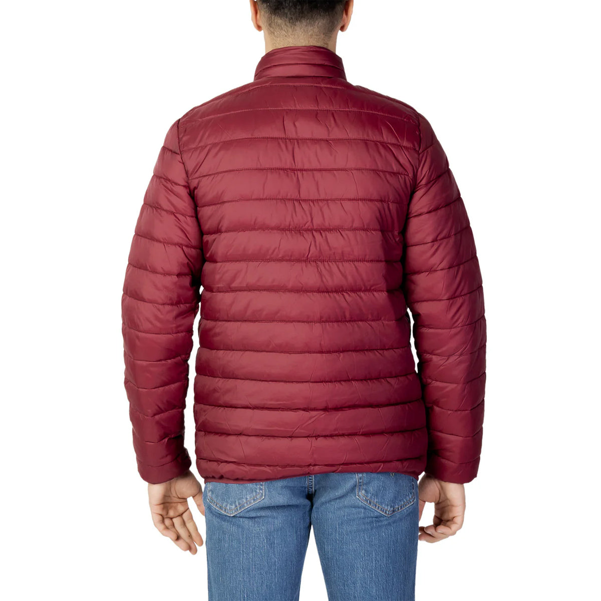 Red - Lifestyle - Aquascutum Mens Logo Padded Jacket