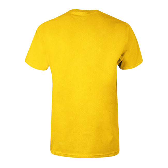 Yellow-Black - Back - Harry Potter Childrens-Kids Hufflepuff T-Shirt