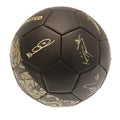 Matt Black-Gold - Side - West Ham United FC Signature Football