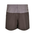 Blackbird-Asphalt - Back - Urban Classics Mens Block Swim Shorts