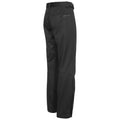 Black - Back - Trespass Mens Holloway Waterproof DLX Trousers