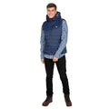 Navy-Carbon - Back - Trespass Mens Franklyn Padded Gilet