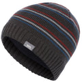 Dark Grey - Side - Trespass Mens Ray Beanie Hat