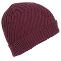 Fig - Back - Trespass Womens-Ladies Twisted Knitted Beanie