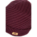 Fig - Lifestyle - Trespass Womens-Ladies Twisted Knitted Beanie