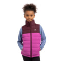 Fig - Side - Trespass Childrens-Kids Oskar Gilet