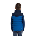Navy - Lifestyle - Trespass Childrens-Kids Oskar Gilet