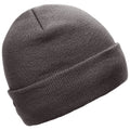 Storm Grey - Back - Trespass Unisex Adult Littlebrook Beanie