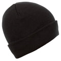 Black - Side - Trespass Unisex Adult Littlebrook Beanie
