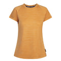 Amber Glow Marl - Front - Trespass Womens-Ladies Vickland TP75 Active T-Shirt
