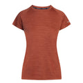 Burnt Sienna Marl - Front - Trespass Womens-Ladies Vickland TP75 Active T-Shirt