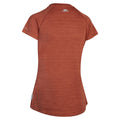 Burnt Sienna Marl - Back - Trespass Womens-Ladies Vickland TP75 Active T-Shirt