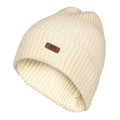 Cream - Front - Trespass Unisex Adult Dornan Beanie