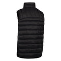 Black - Back - Trespass Mens Fergal Gilet