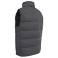 Flint - Back - Trespass Mens Clasp Padded Gilet-Bodywarmer