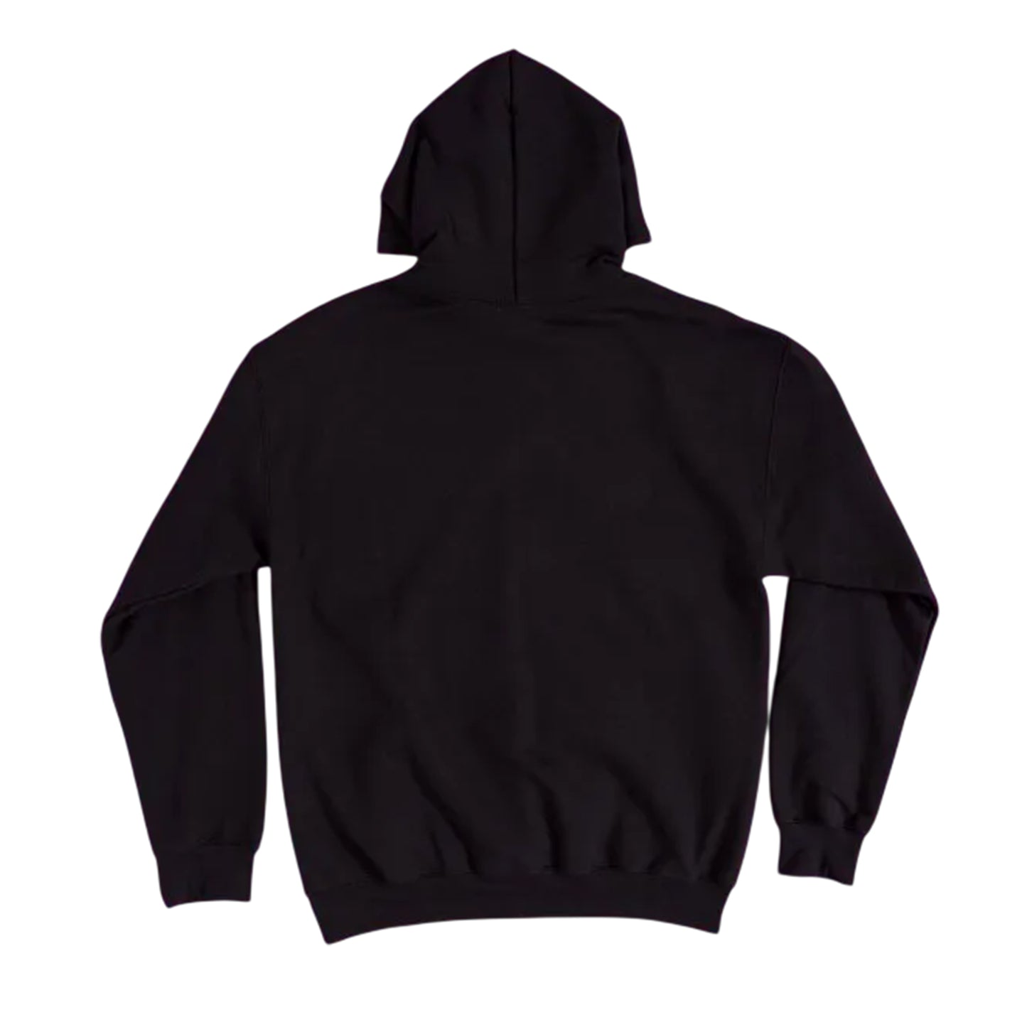 Black - Back - Thundercats Unisex Adult Mumm-Ra Lives Hoodie