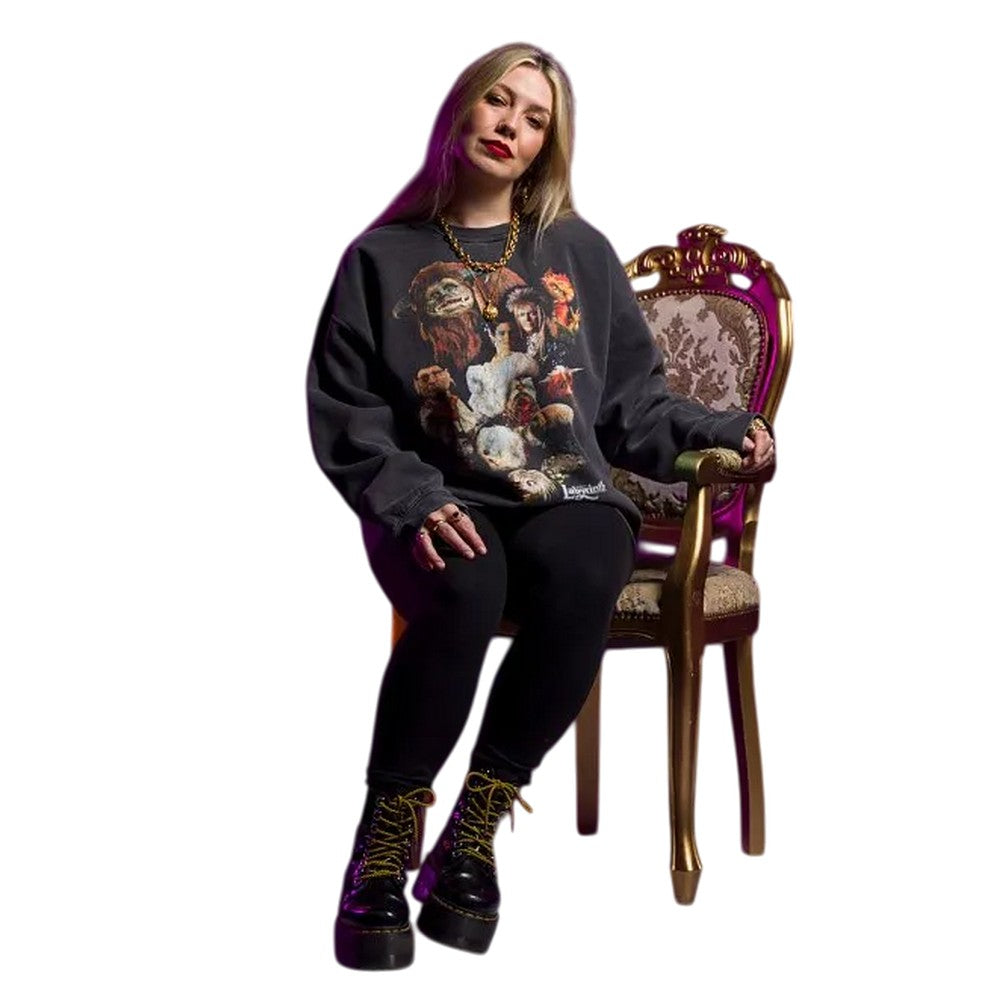 Charcoal - Lifestyle - Labyrinth Unisex Adult Characters Vintage Wash Sweatshirt