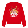 Red - Front - Paw Patrol Unisex Adult Nice Christmas Skye Sweatshirt