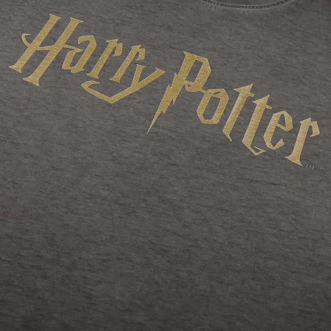 Vintage Charcoal - Side - Harry Potter Mens Logo T-Shirt
