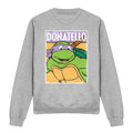 Sport Heather - Front - Teenage Mutant Ninja Turtles Unisex Adult Donatello Sweatshirt