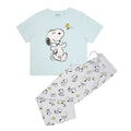 Mint-Grey - Front - Peanuts Womens-Ladies Snoopy & Woodstock Pyjama Set