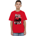 Red - Lifestyle - Captain America: Brave New World Childrens-Kids Red Hulk Brick T-Shirt