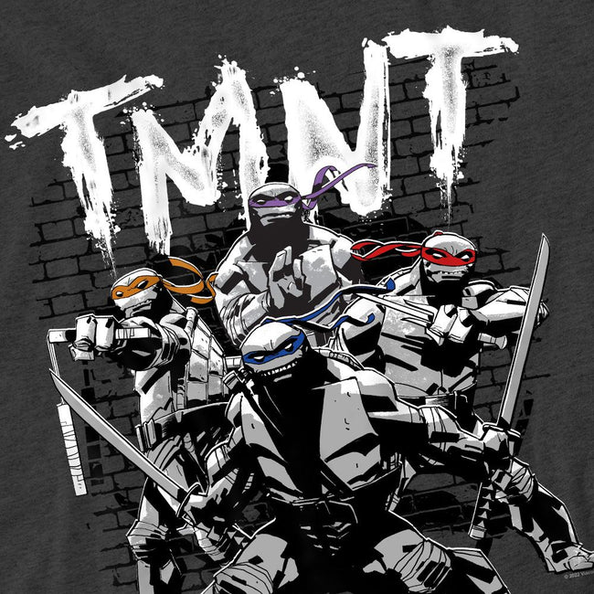Charcoal - Pack Shot - Teenage Mutant Ninja Turtles Unisex Adult TMNT Team T-Shirt