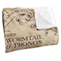 Multicoloured - Back - Harry Potter Marauders Map Blanket