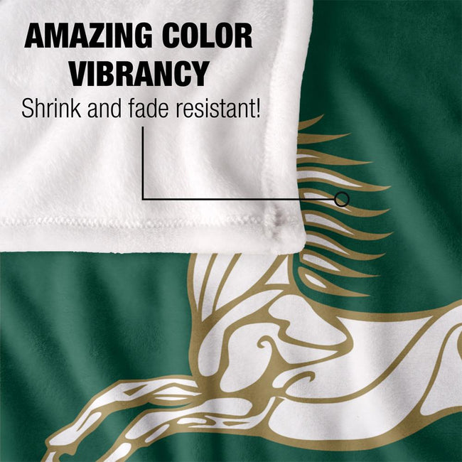 Multicoloured - Lifestyle - Lord Of The Rings Rohan Horse Blanket
