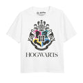 White - Front - Harry Potter Girls Hogwarts Houses T-Shirt