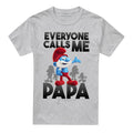 Athletic Heather - Front - The Smurfs Unisex Adult Call Me Papa Smurf T-Shirt
