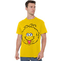 Yellow - Back - Sesame Street Unisex Adult Big Bird Full Face T-Shirt