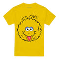 Yellow - Front - Sesame Street Unisex Adult Big Bird Full Face T-Shirt