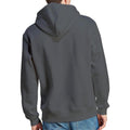 Charcoal - Pack Shot - Pontiac Unisex Adult Division Hoodie