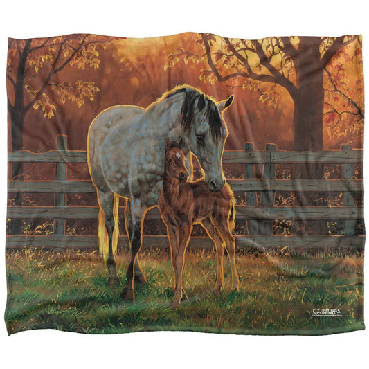 Multicoloured - Front - Wild Wings Silky Mother And Child Supersoft Blanket