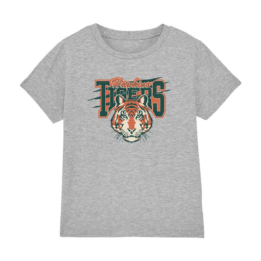 Athletic Heather - Front - Stranger Things Childrens-Kids Hawkins Tigers Scratch Heather T-Shirt